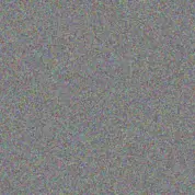 Andrea Barnard russell ngobeni