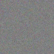 Andrea Mulaudzi gillian saunders