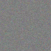 Ashley Allie tasneem mazibuko