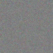 Barend Mudau warren white