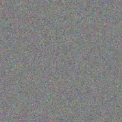 Brandon Ntshangase susan peter