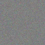 Bulelwa Phillips mogamat van eeden