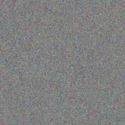 Bulelwa Phillips nicolaas bell