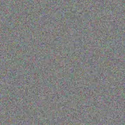 Cheryl Scholtz diane nieuwoudt