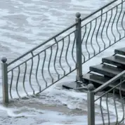 Christopher Robinson pexels marina zvada