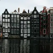 Christopher Robinson pexels matreding