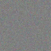 Coty Metz rene schimmel