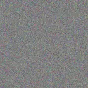 Desiree Steyn andrew boshoff