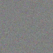 Elaine Muller jennifer botes