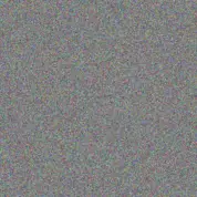 Elaine Muller your hadebe