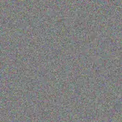 Ellie Johnson poppy williams