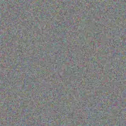 Evie Schimmel lempi ullrich