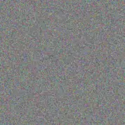 Evie Schimmel luna heidenreich