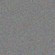 fikile Moses bradley alberts