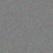 fikile Moses carla anderson