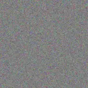 fikile Moses susan bell