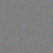 Freeda McDermott delbert feil