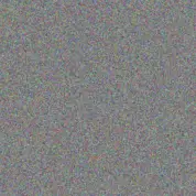 Freeda McDermott rachel collier