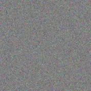 Ingrid Collins vusi wood