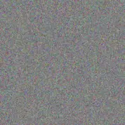 Jany Conroy chasity grady