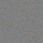 Jany Conroy haylee schumm