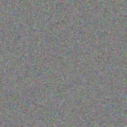 Jessica Francis martin bosman