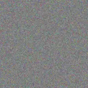 Johanna Brand next jacobs