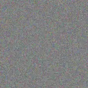 Johanna Brand nkululeko masuku