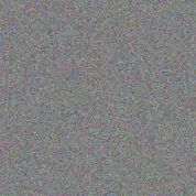 Johanna Brand xolani mashigo