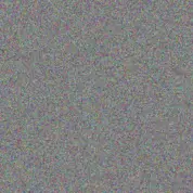 Judith Makhanya shawn ntuli