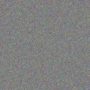 Lauren Wolmarans chantel de wet