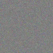 Lauren Wolmarans gordon sibanda