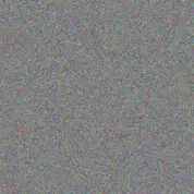 Lauren Wolmarans jackie mohamed