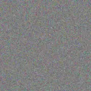 Lebogang Moloto lesego van rooyen