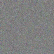 Leon Campbell carol nkabinde