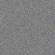 Leon Campbell grace van der berg