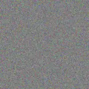 Leon Els christiaan vorster