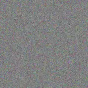 Leon Els sonja mudau