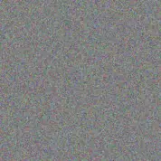 Leslie Kilback sallie vandervort