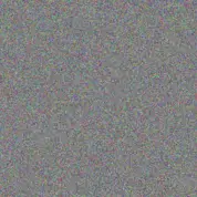 Lisa Els nonkululeko mdluli