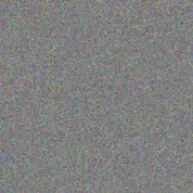 Lisa Johnson siphiwe martin