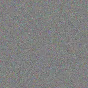 Lisa Paul candice modise