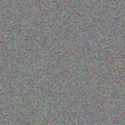 Lisa Van Zyl lee ann isaacs