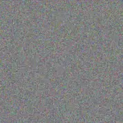 Lizelle Jansen sello morgan