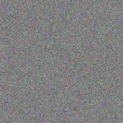 Louise Carstens monica mtsweni