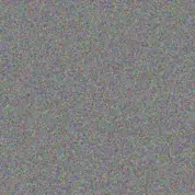 Ludwig Reichel vesta wolff