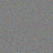 Marisa Stark amy schmeler