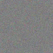 Max King daniel phillips