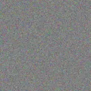 Miller Dach carole gutkowski