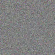 Miller Dach gabe wolff